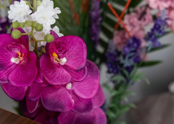 Lejlighed Renalda House In The Port Of *